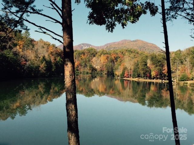 114 Birddog Boulevard Lake Lure NC 28746