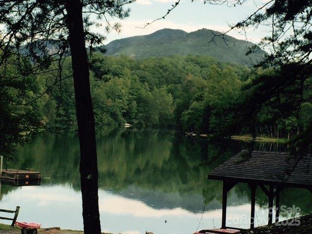 114 Birddog Boulevard Lake Lure NC 28746