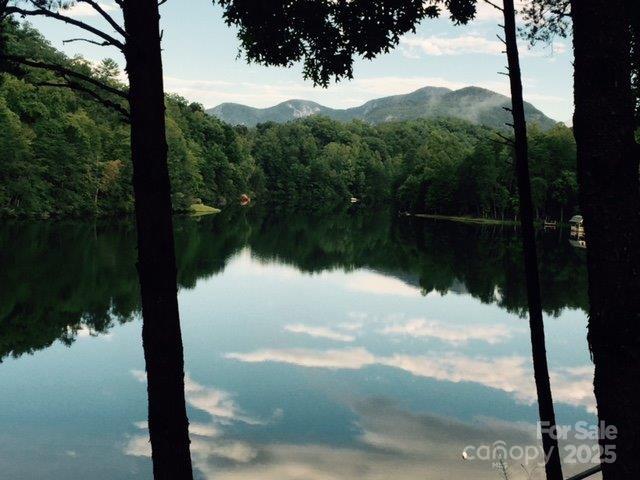 114 Birddog Boulevard Lake Lure NC 28746