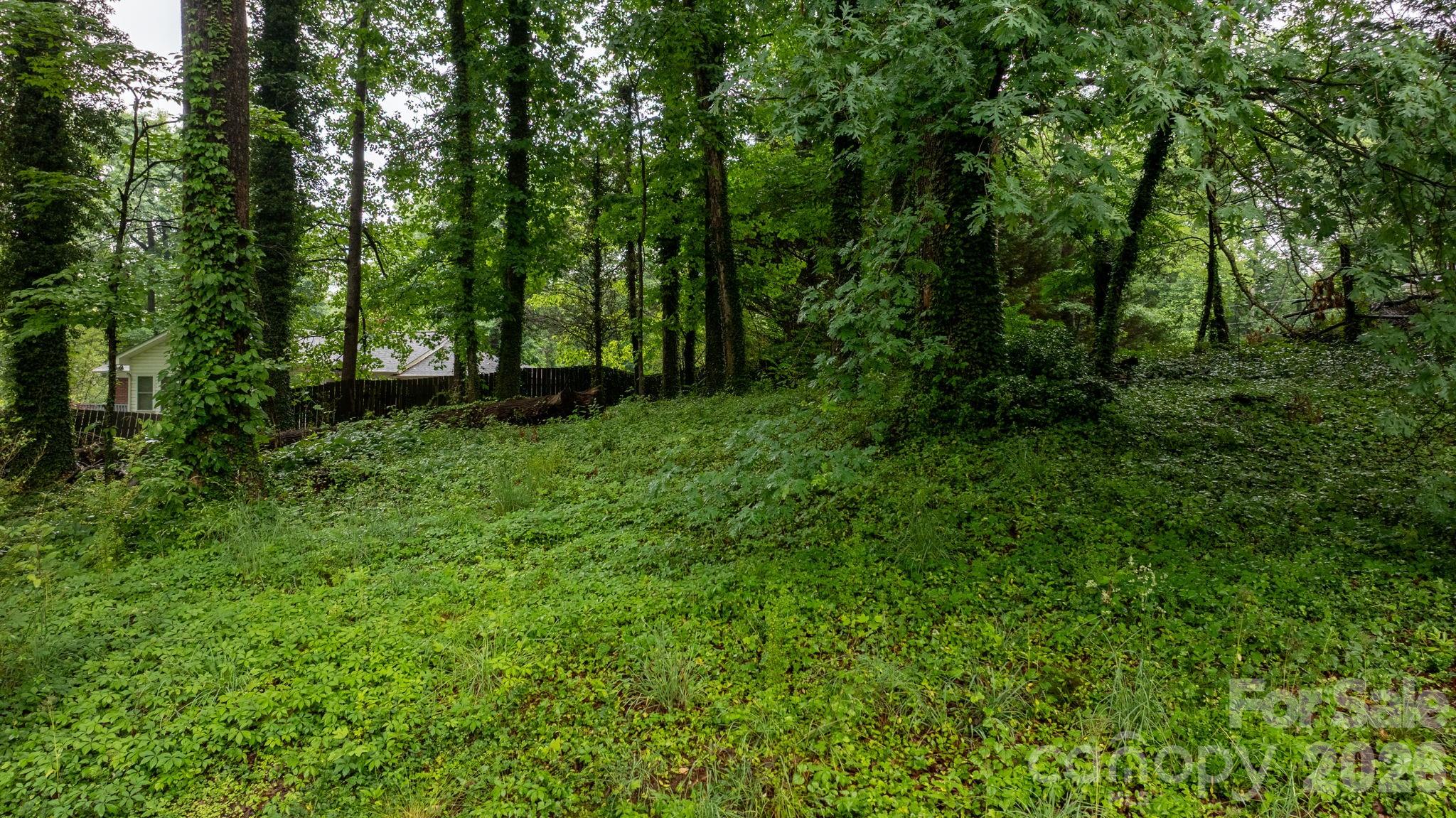 102 Ann Street Morganton NC 28655