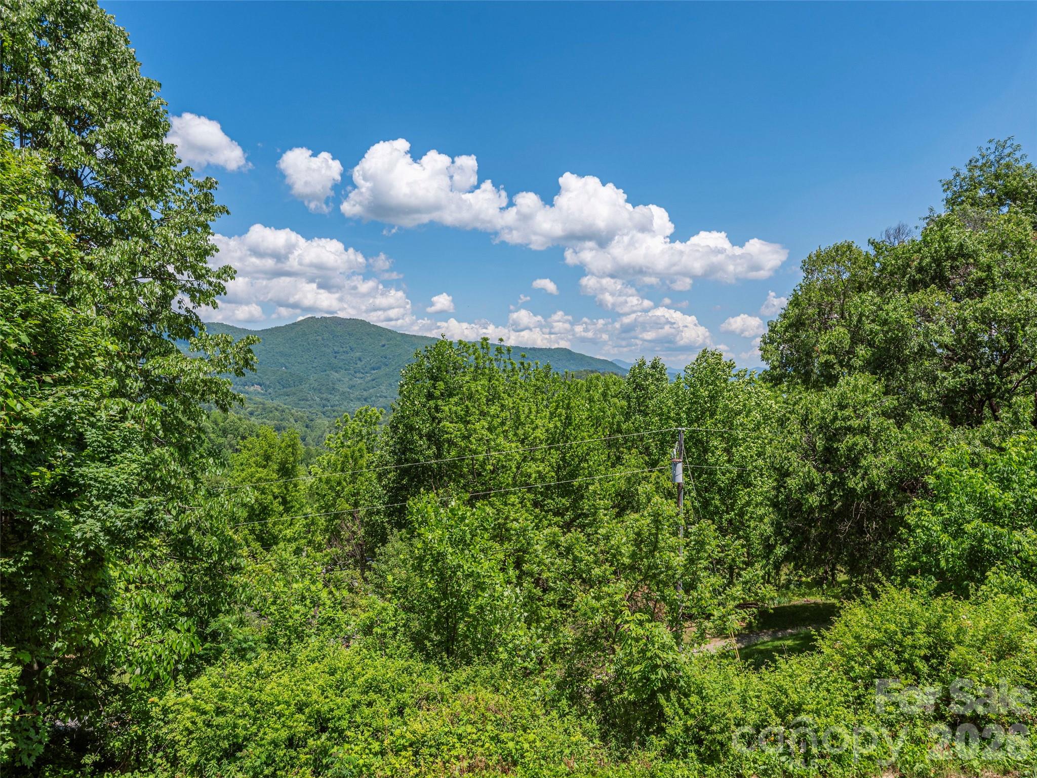 649 Acres View Drive Waynesville NC 28786