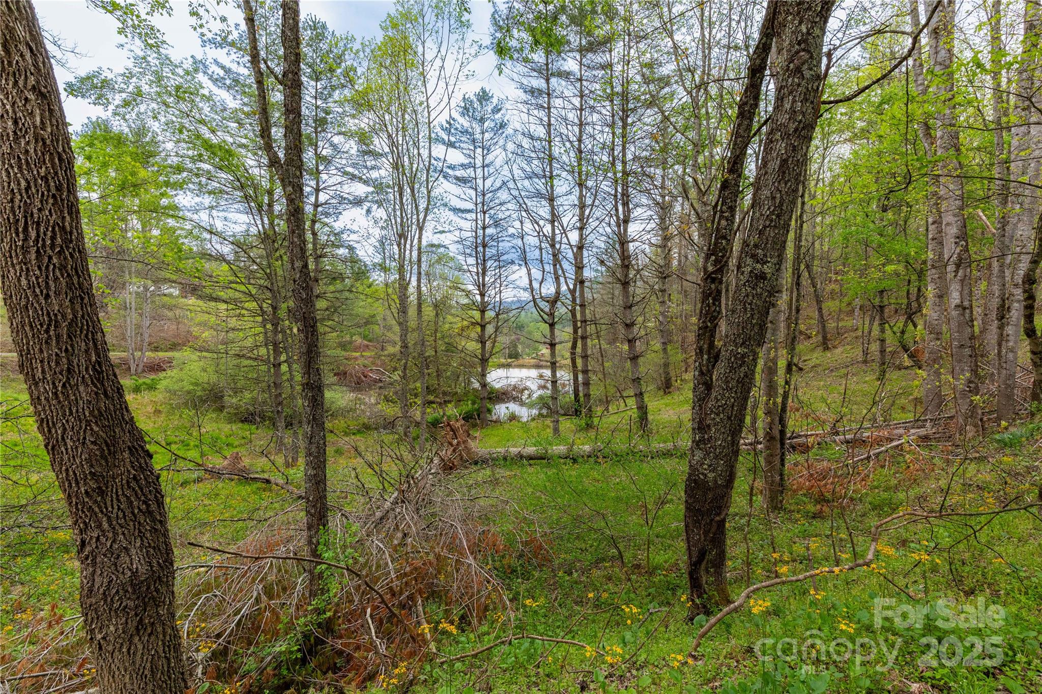 380 Echo Hill Drive Green Mountain NC 28740