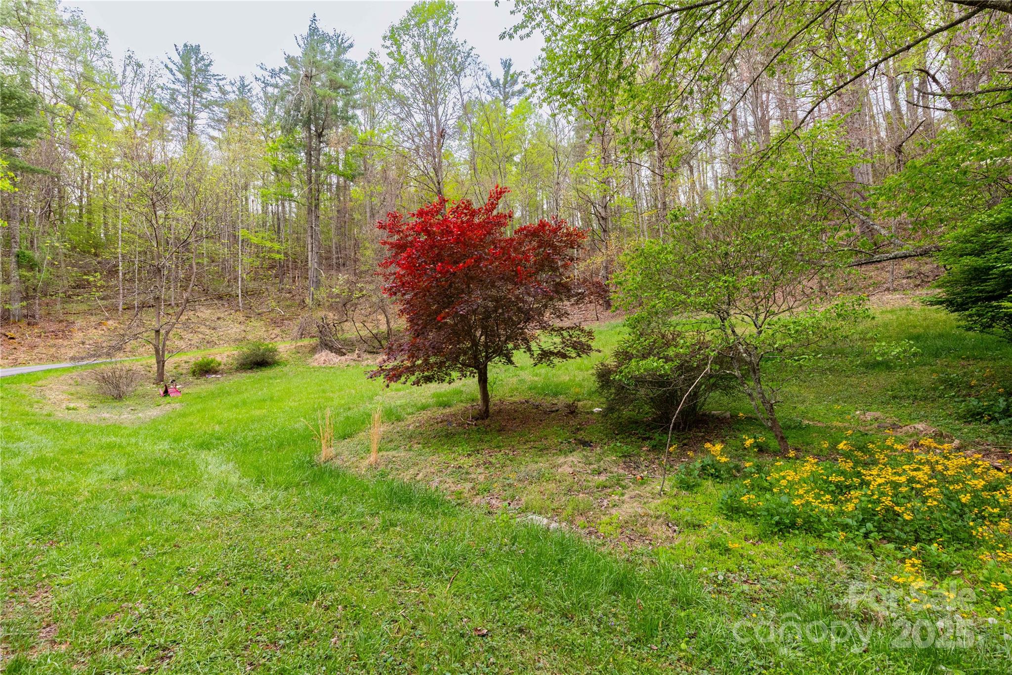 380 Echo Hill Drive Green Mountain NC 28740