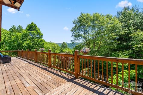 1206 Caldwell Mountain Road Hot Springs NC 28743