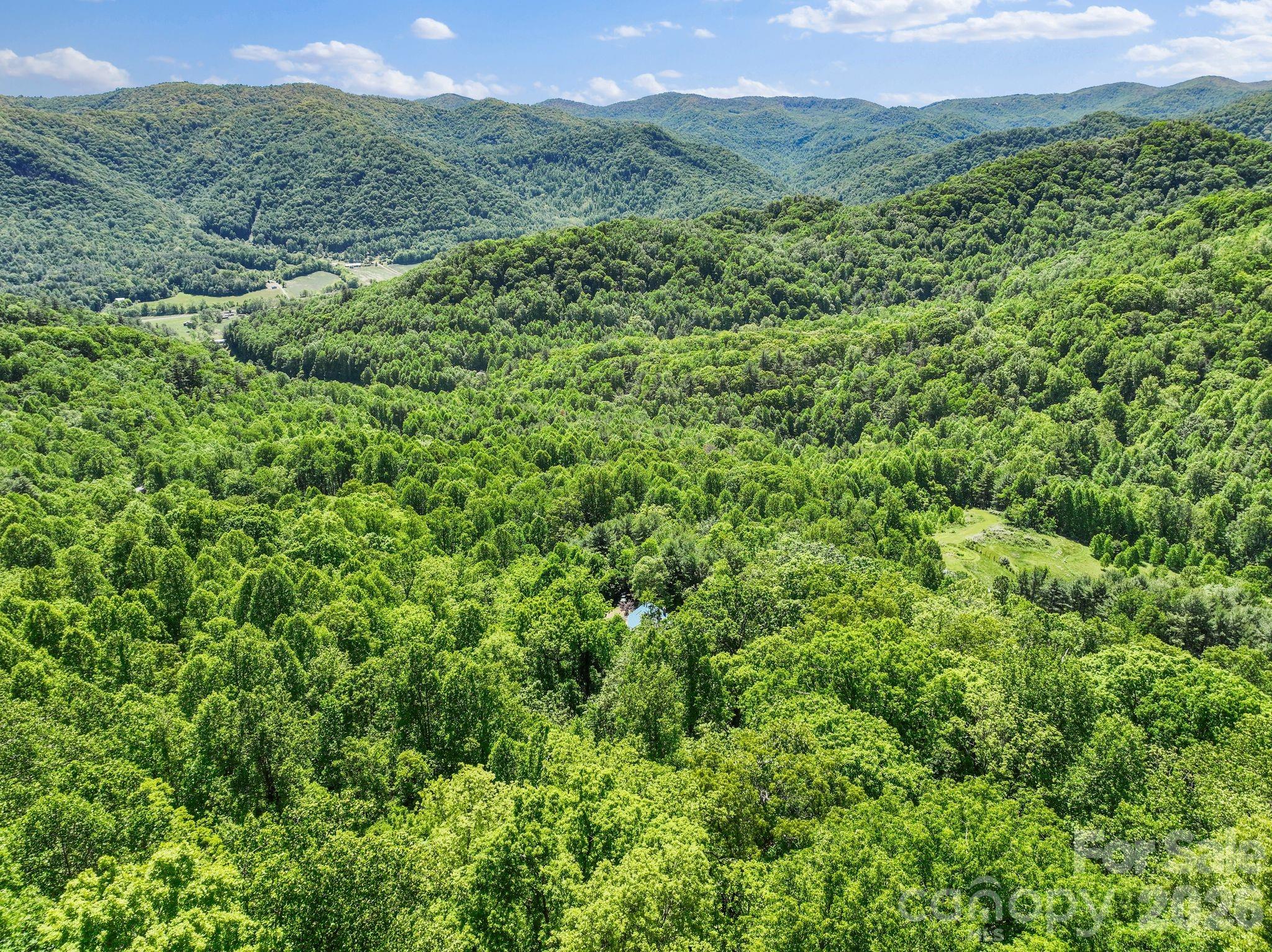 1206 Caldwell Mountain Road Hot Springs NC 28743