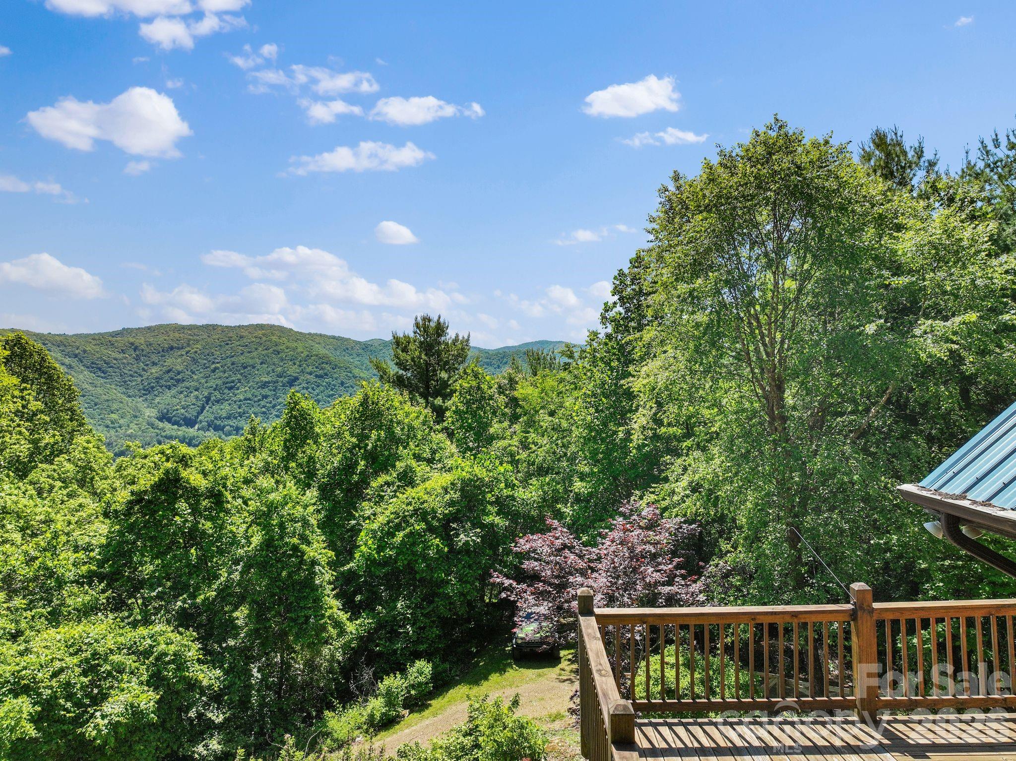 1206 Caldwell Mountain Road Hot Springs NC 28743