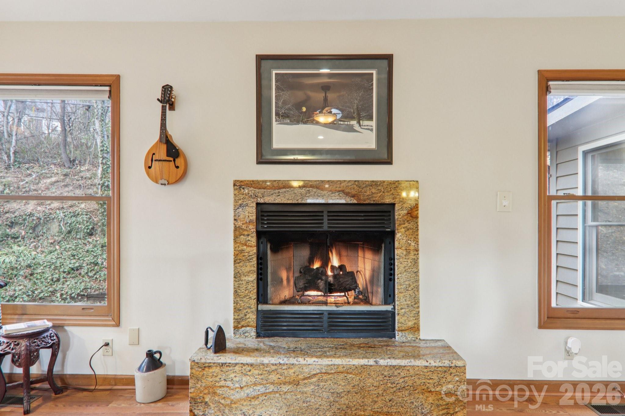 5 Hedgerose Court Asheville NC 28805