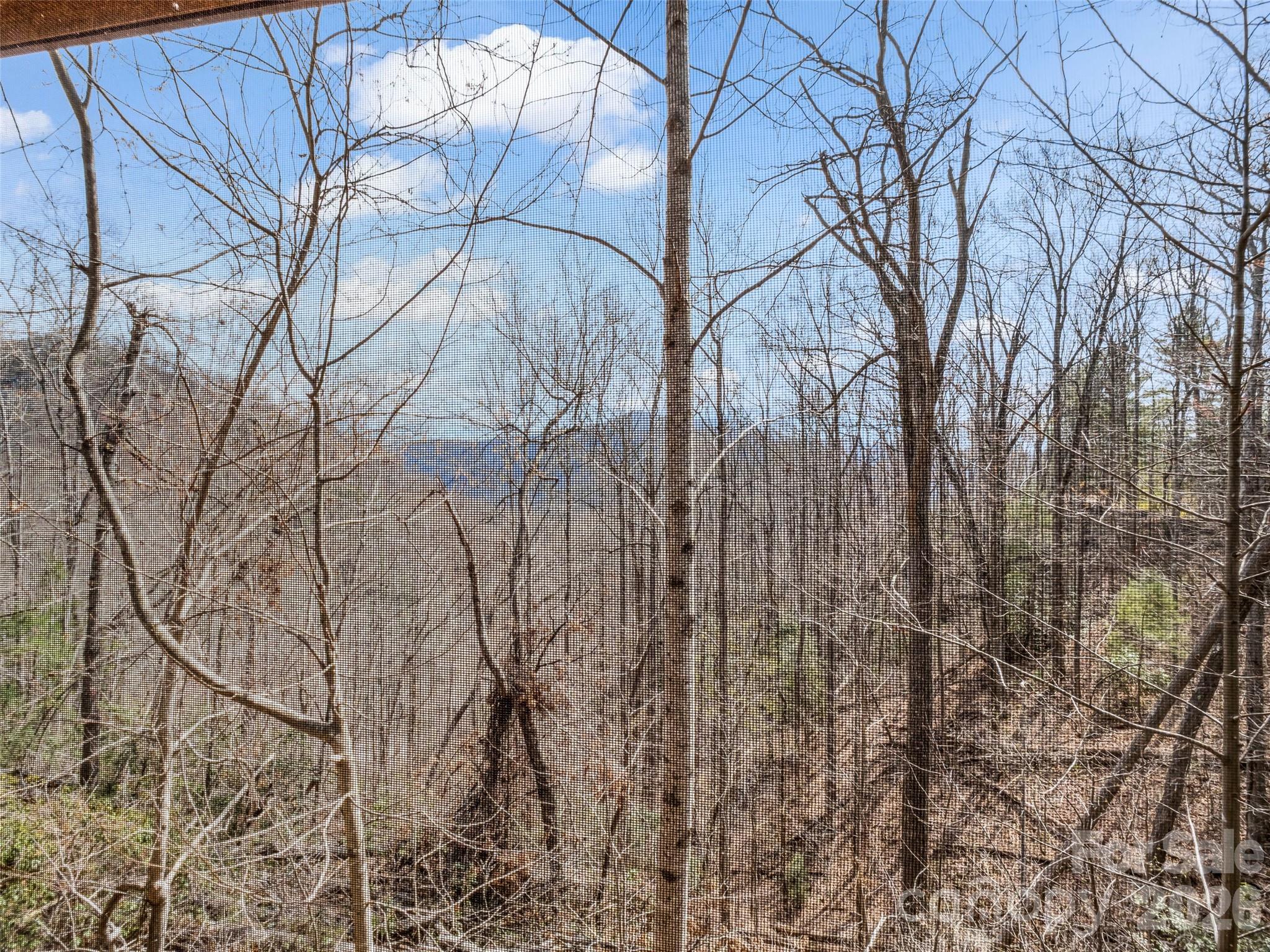 256 Bear Branch Road Hendersonville NC 28792