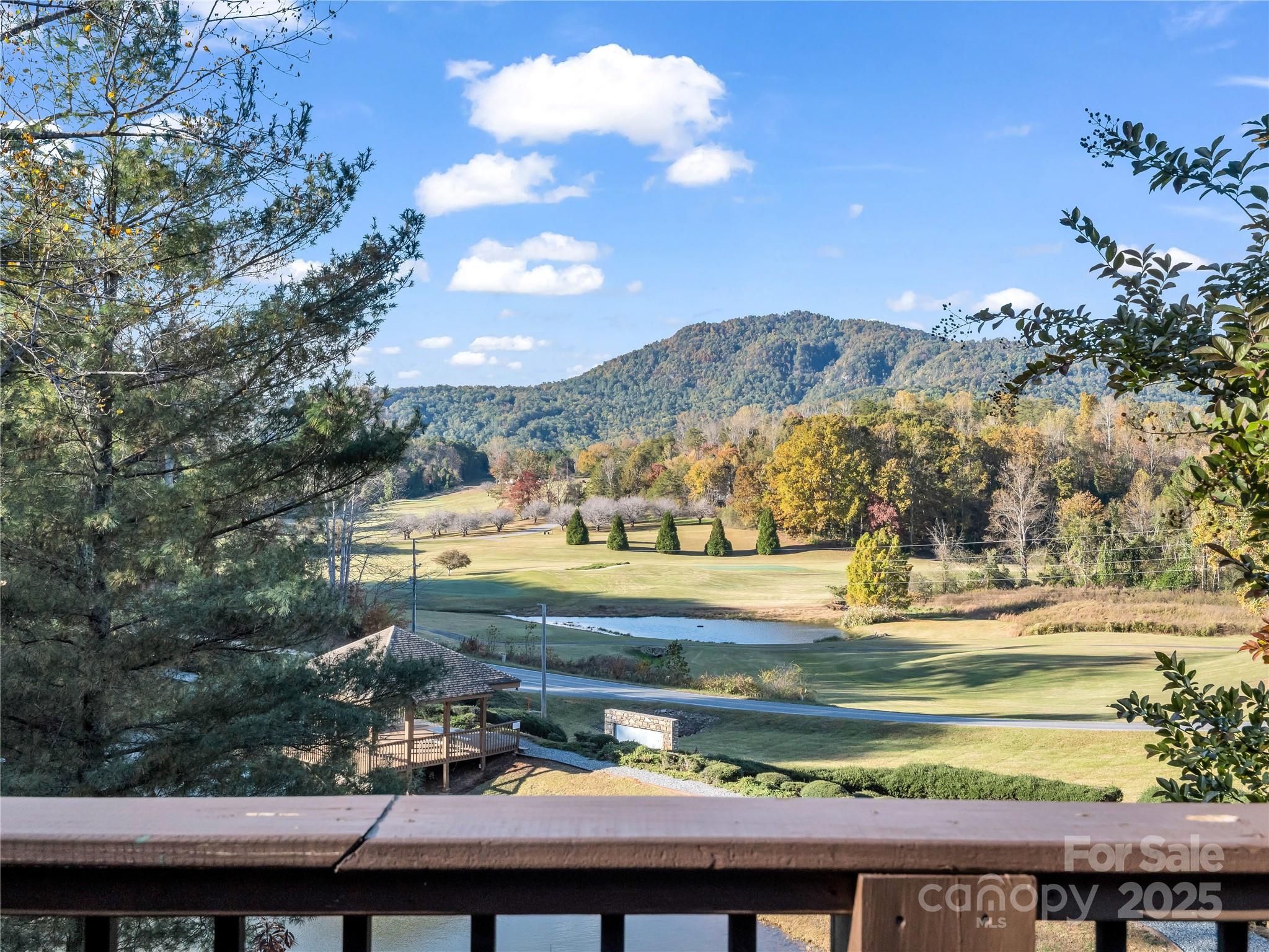 134 Raleigh Drive Lake Lure NC 28746