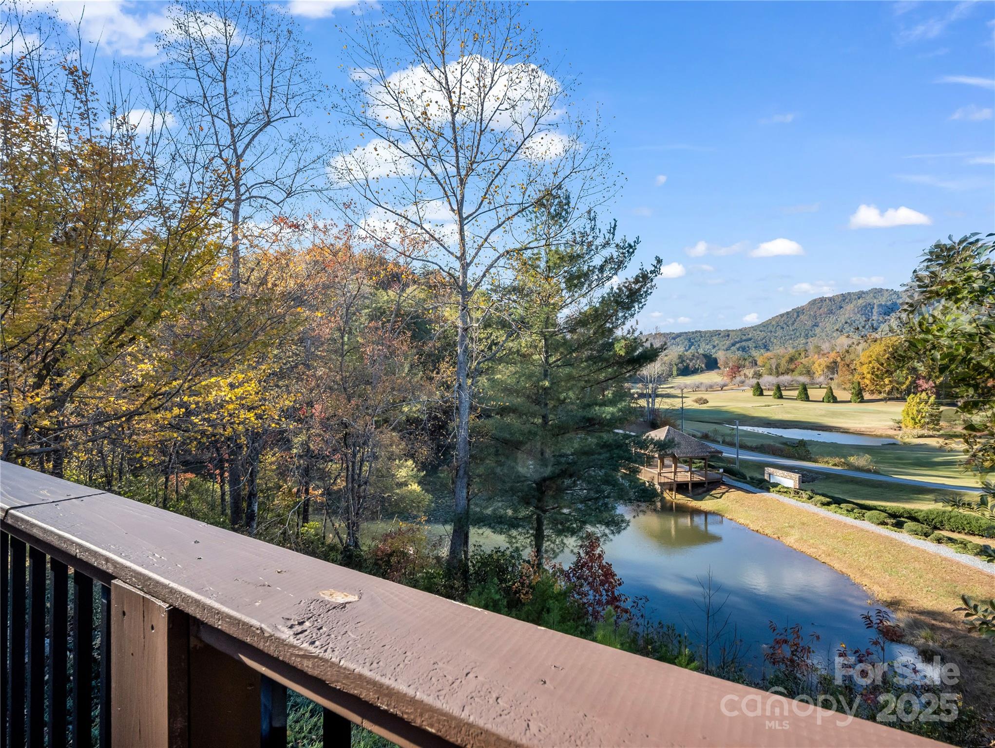 134 Raleigh Drive Lake Lure NC 28746