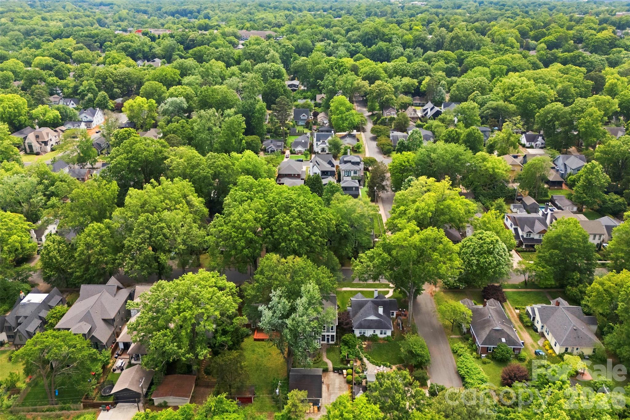 2305 Shenandoah Avenue Charlotte NC 28205