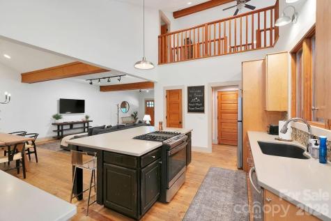 49 Miner Street Brevard NC 28712