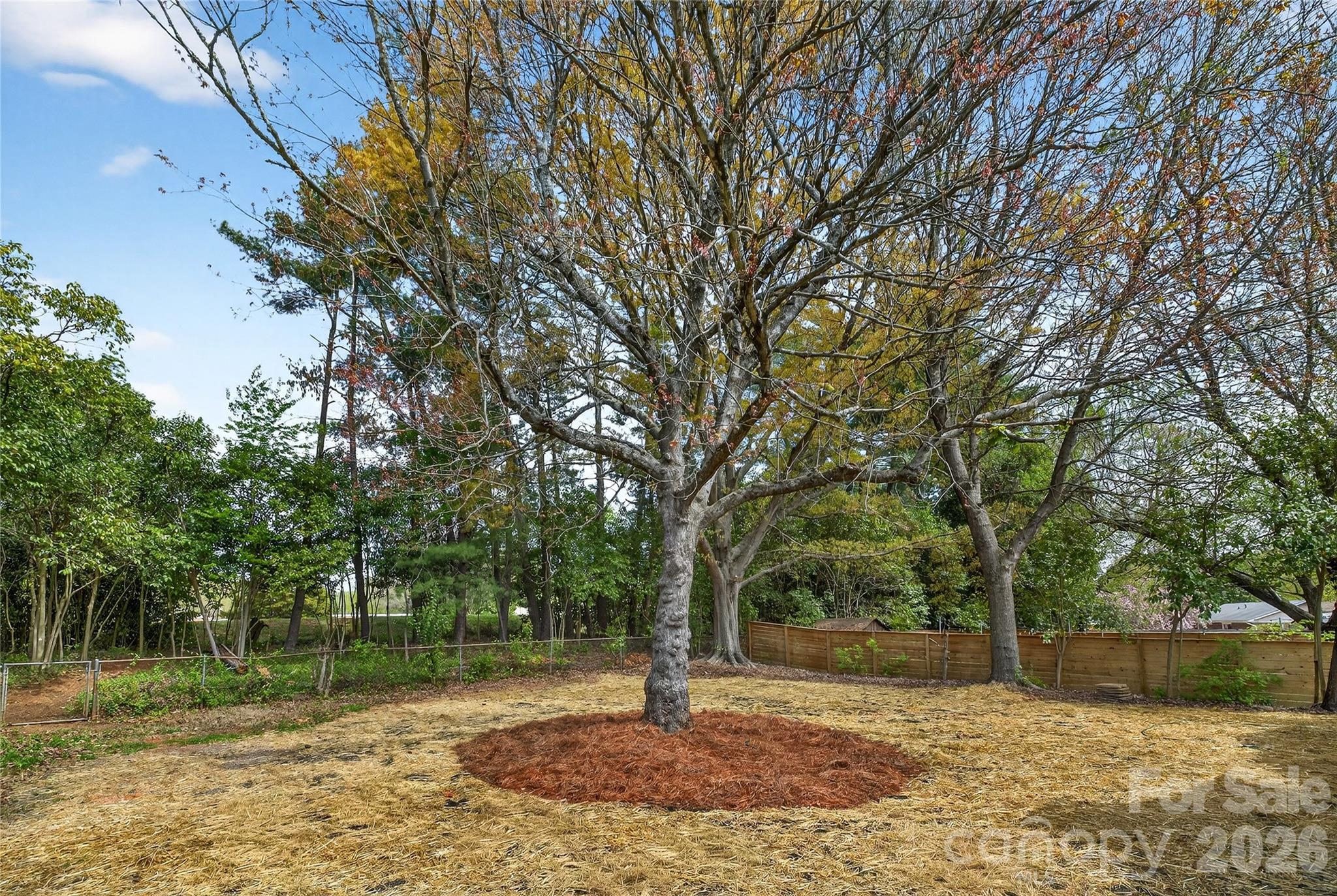 1521 Starbrook Drive Charlotte NC 28210