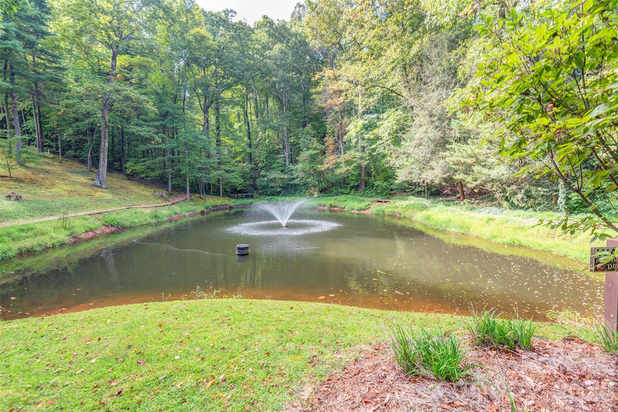 3 Sunningdale Drive Flat Rock NC 28731