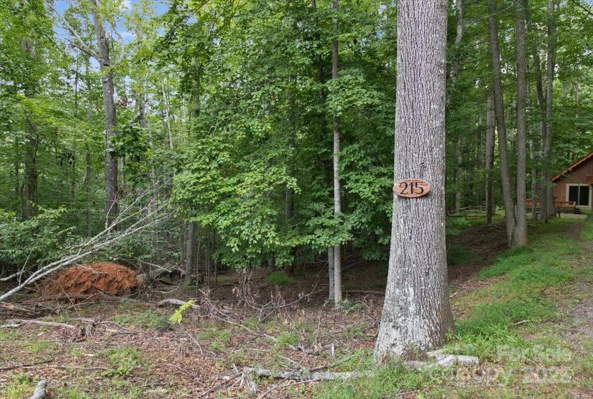 215 Byrd Mountain Estates Road Burnsville NC 28714