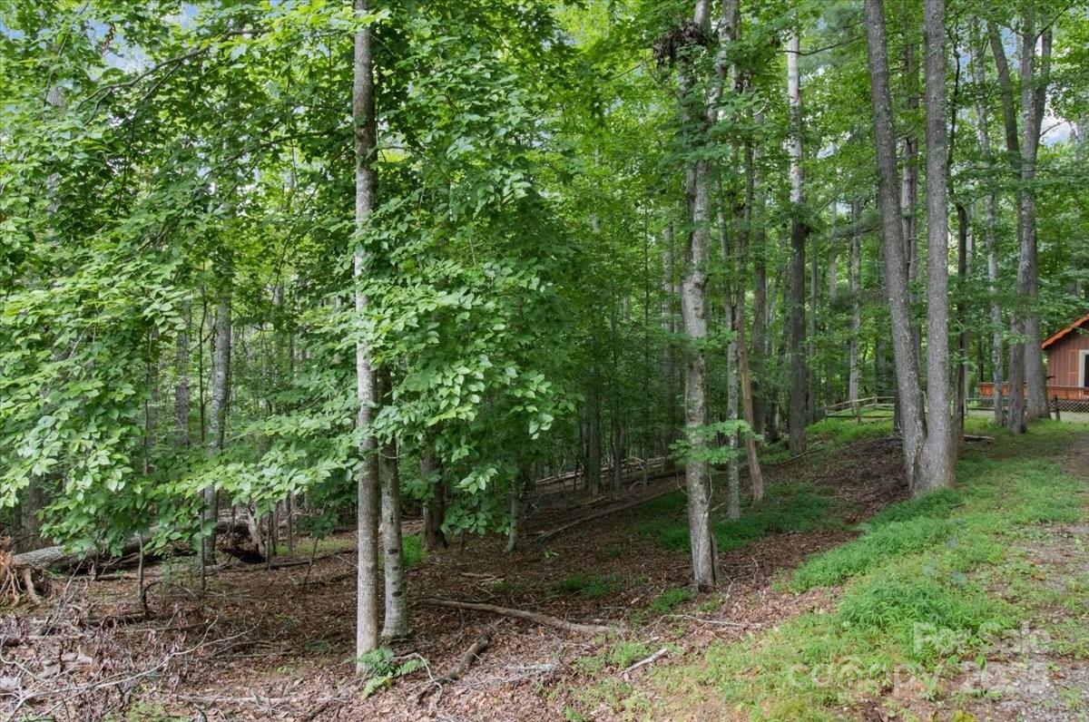 215 Byrd Mountain Estates Road Burnsville NC 28714