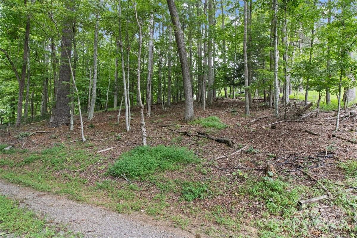 215 Byrd Mountain Estates Road Burnsville NC 28714
