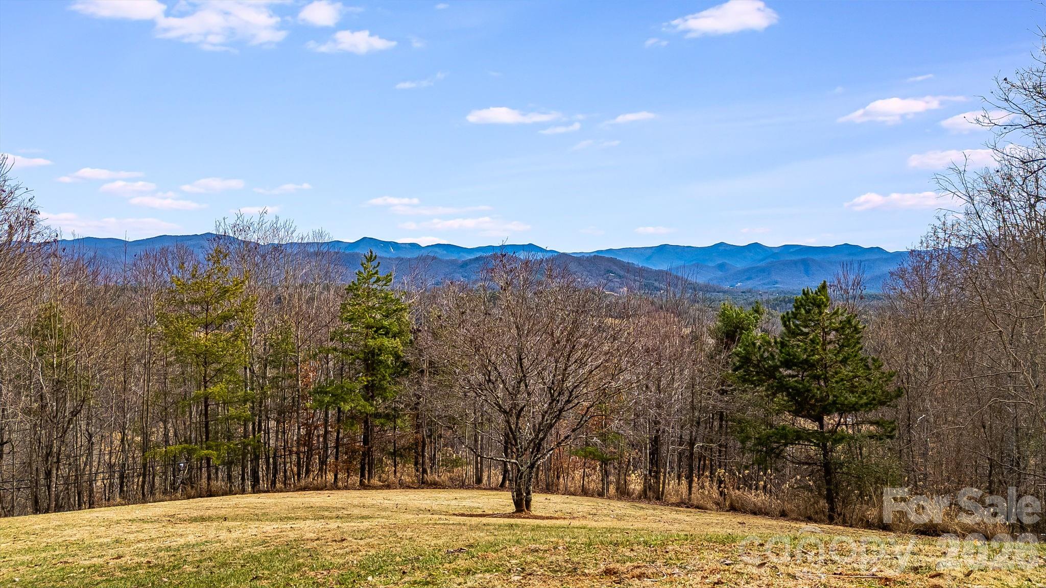 200 Duck Drive Mars Hill NC 28754