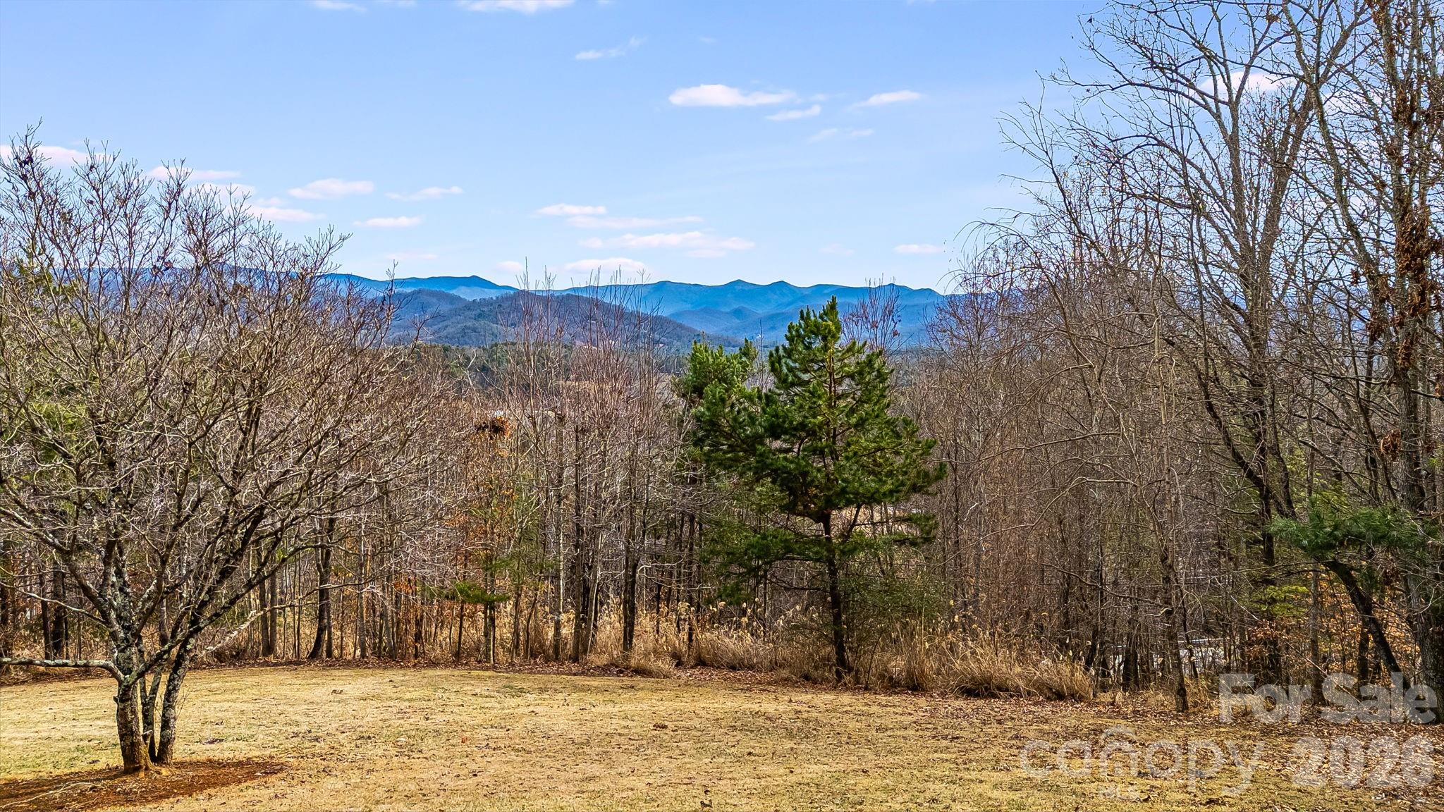200 Duck Drive Mars Hill NC 28754