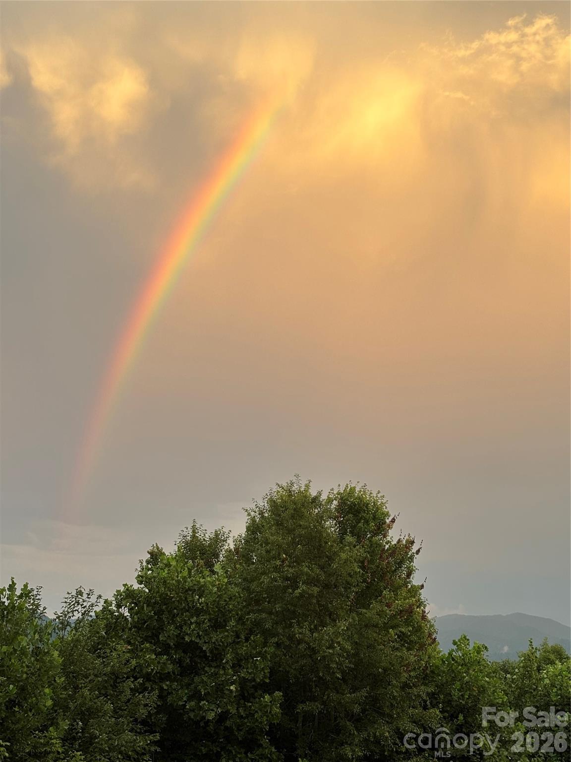 200 Duck Drive Mars Hill NC 28754