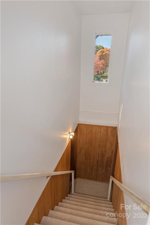 10 Ballantree Drive Asheville NC 28803