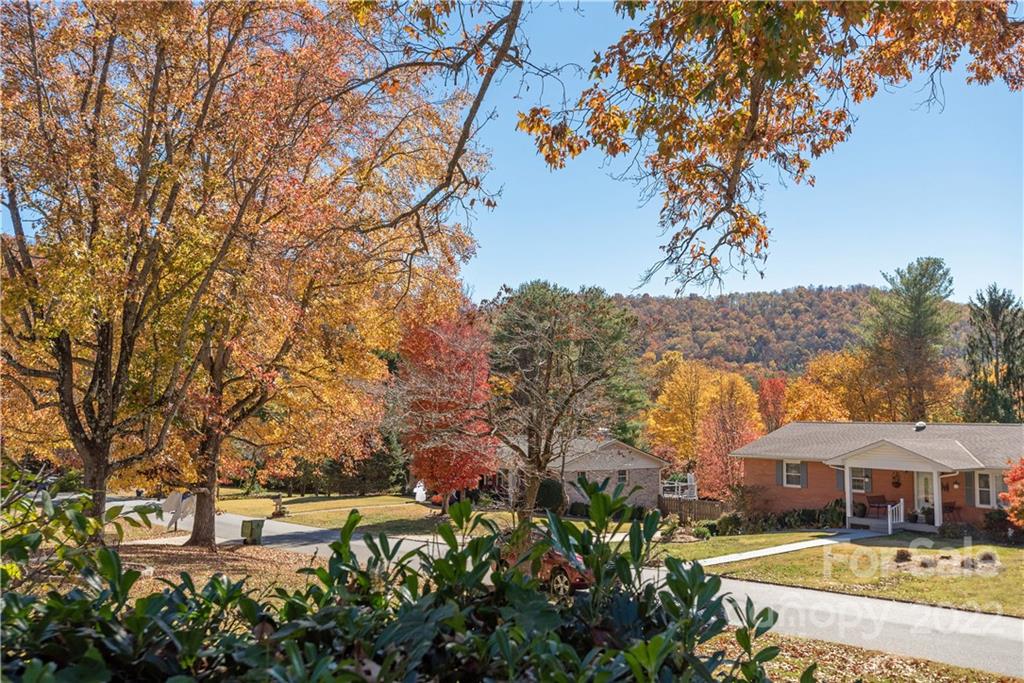 10 Ballantree Drive Asheville NC 28803