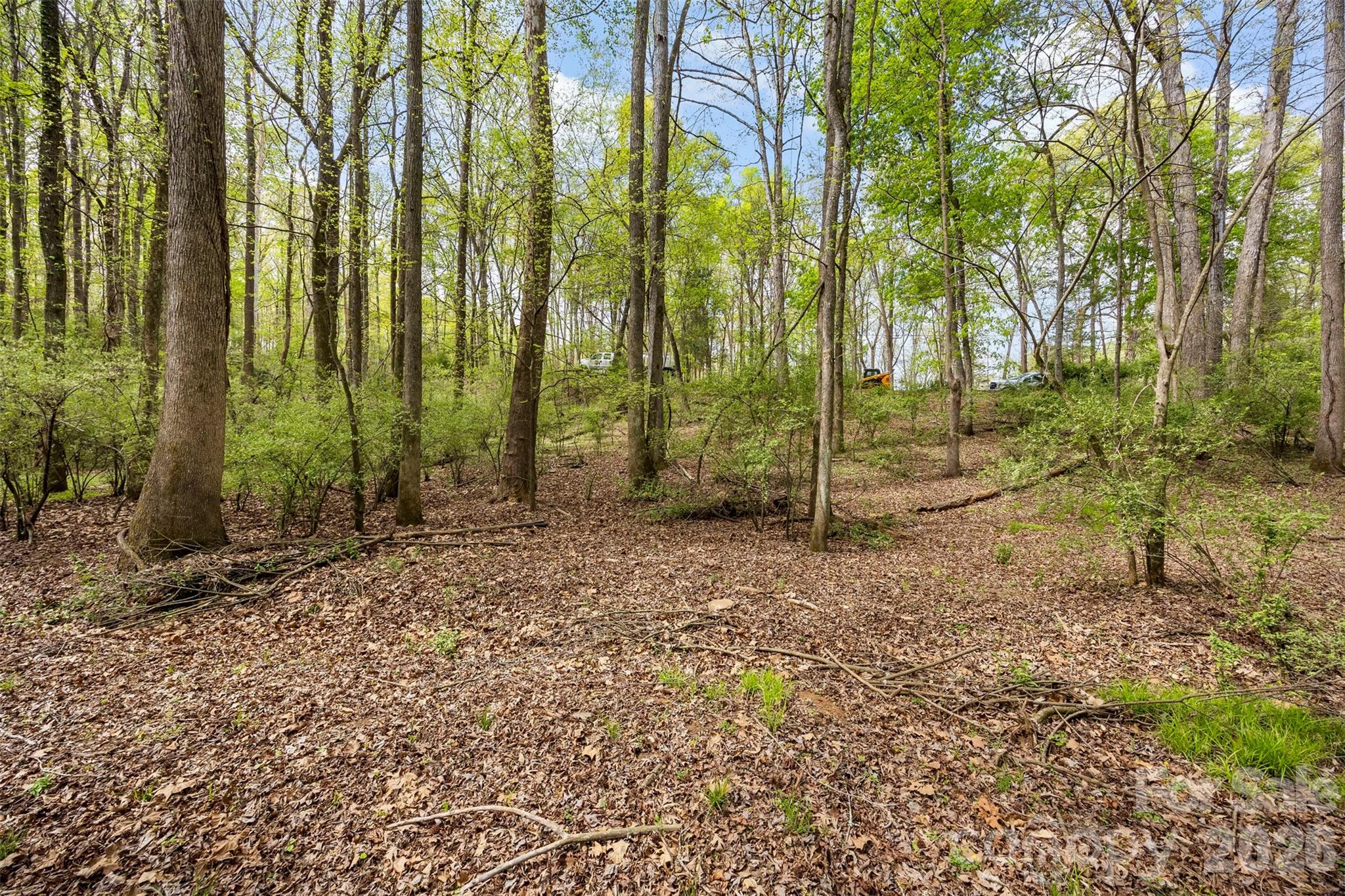 10601 Wildlife Road Charlotte NC 28278