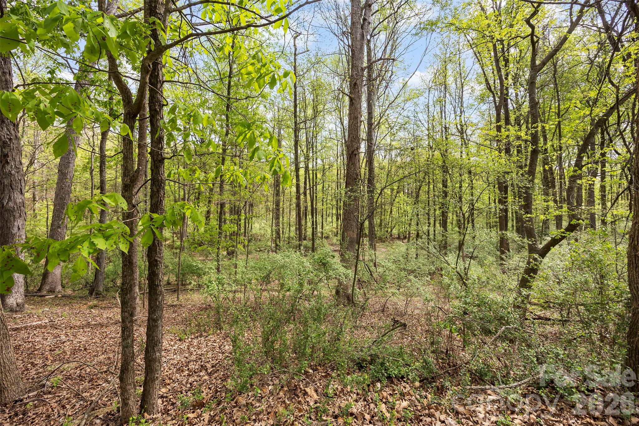 10601 Wildlife Road Charlotte NC 28278