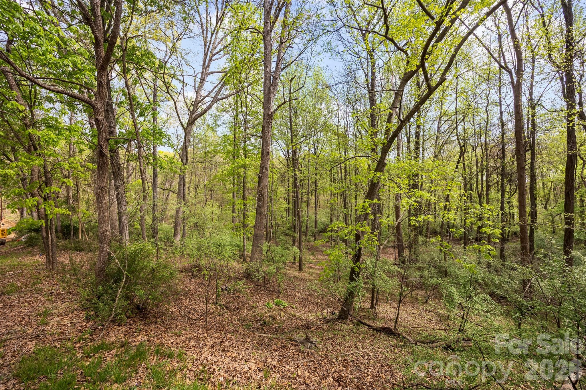 10601 Wildlife Road Charlotte NC 28278