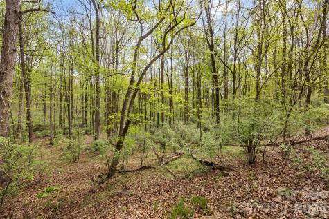 10601 Wildlife Road Charlotte NC 28278