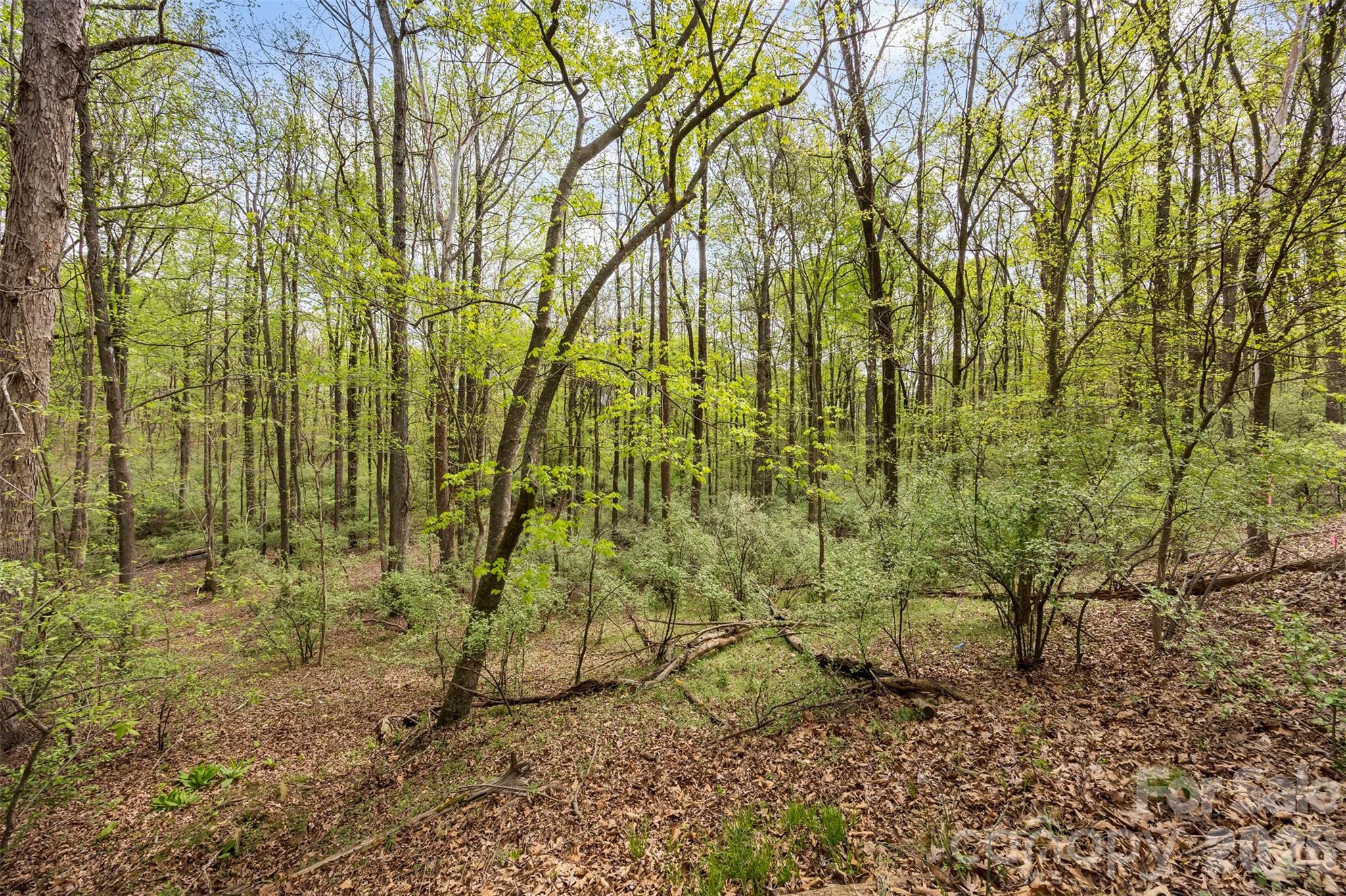 10601 Wildlife Road Charlotte NC 28278