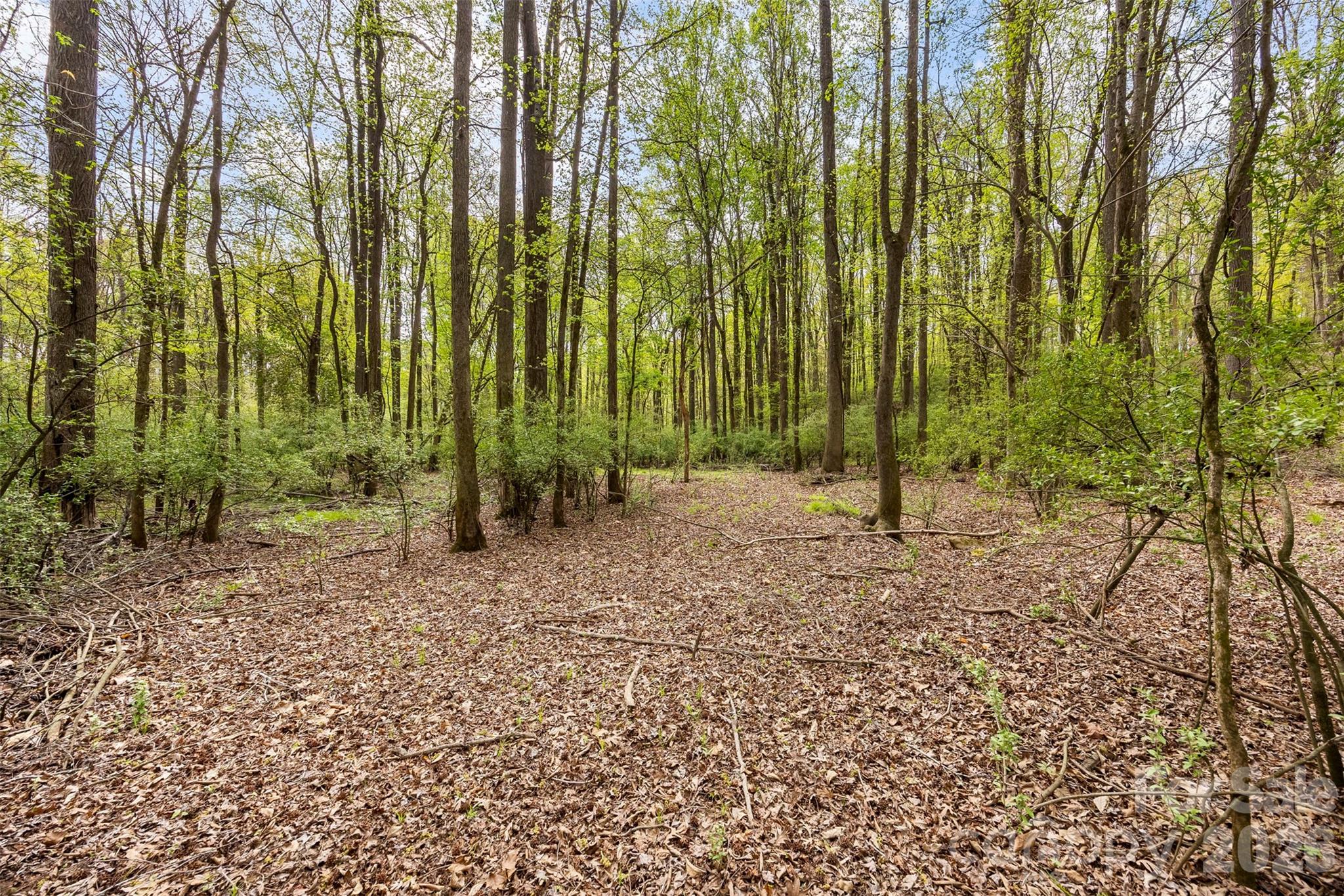 10601 Wildlife Road Charlotte NC 28278