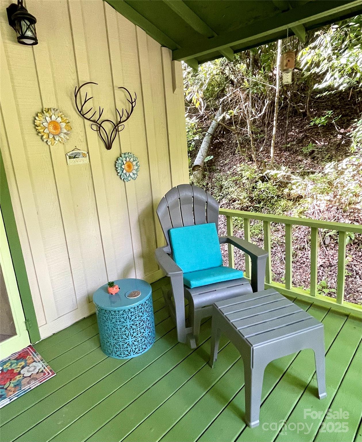 180 Valley Lane Bryson City NC 28713
