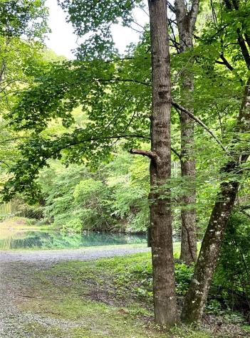 180 Valley Lane Bryson City NC 28713