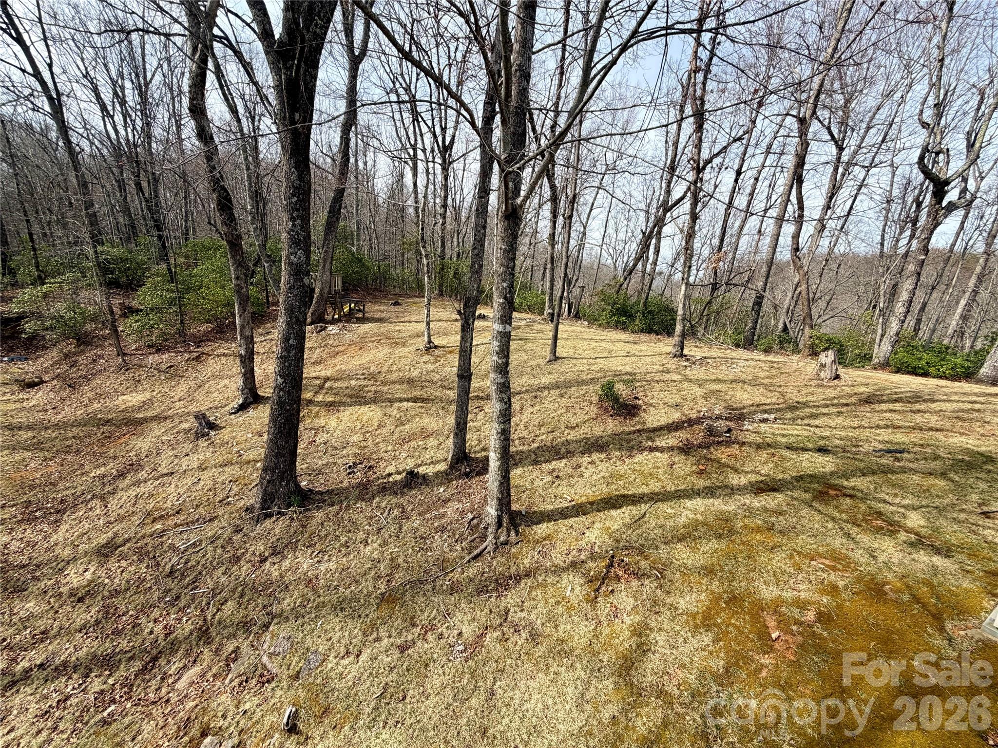 288 Willow Lane Rosman NC 28772