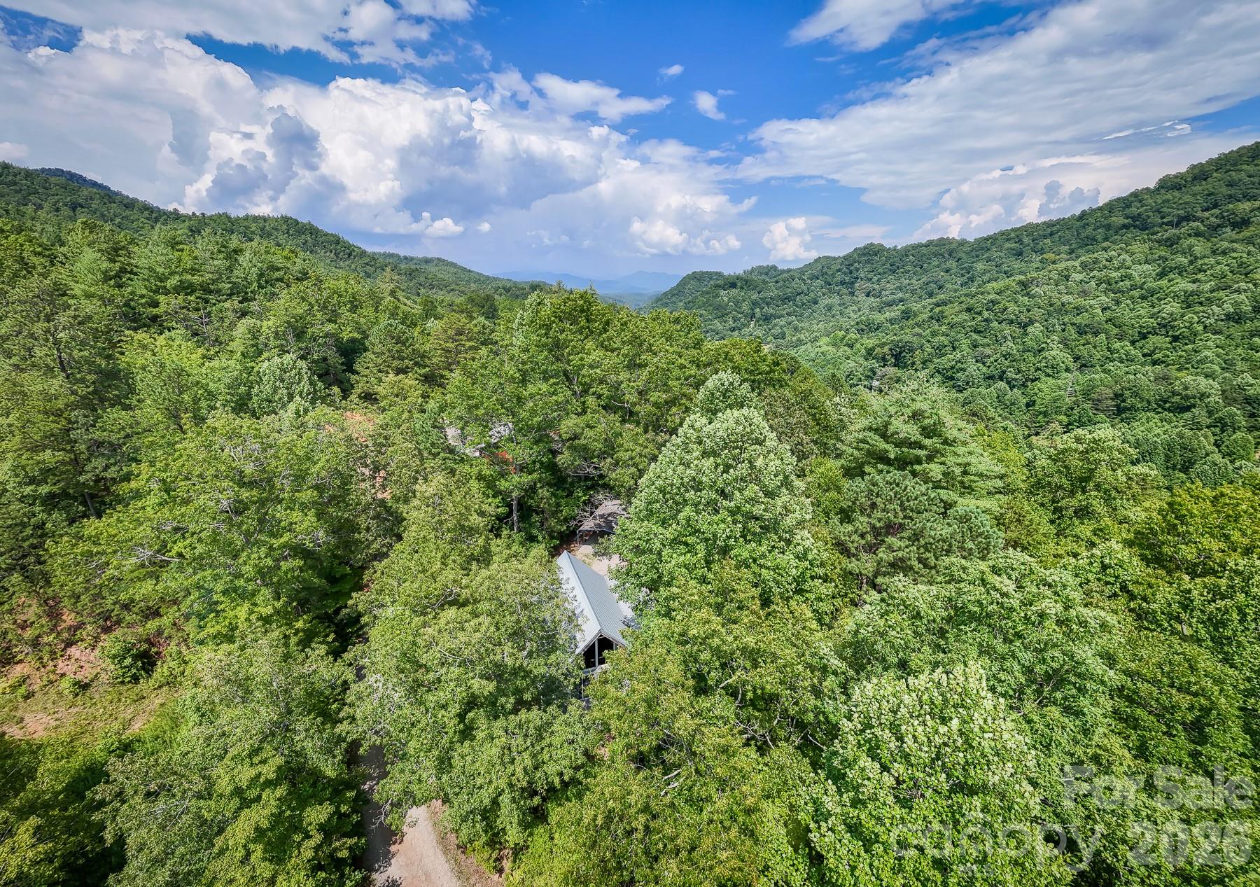 292 Wolf Creek Heights Almond NC 28702