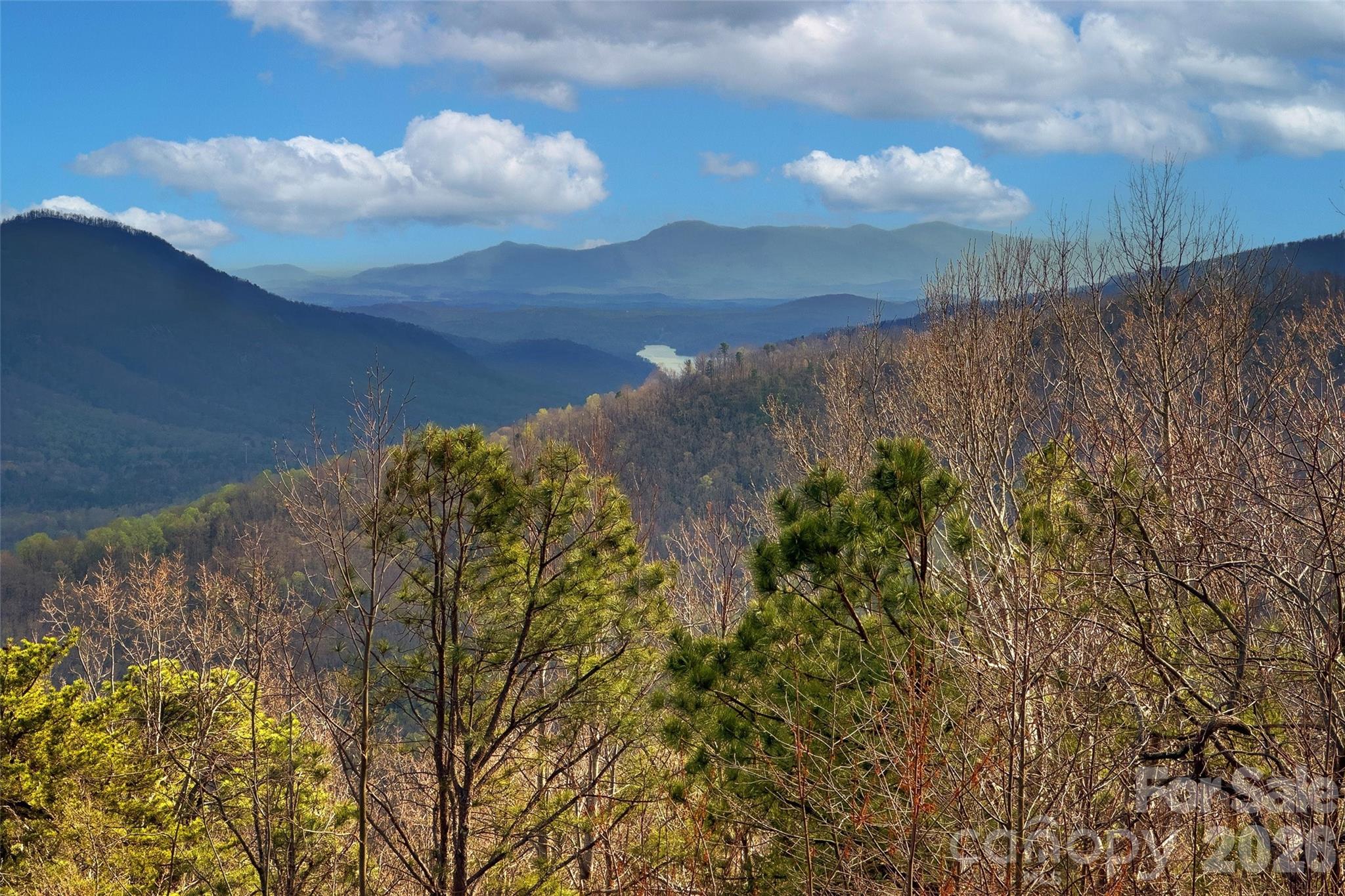 62 Skyline Drive Old Fort NC 28762
