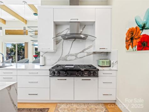 123 Wembley Road Asheville NC 28804