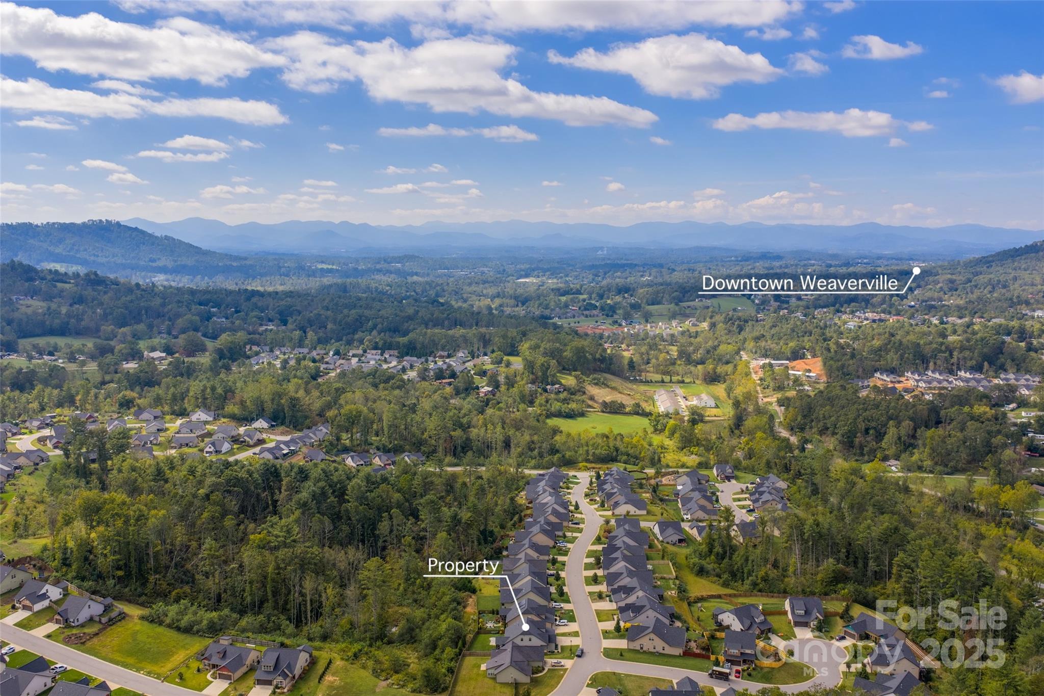 190 Water Leaf Drive Weaverville NC 28787