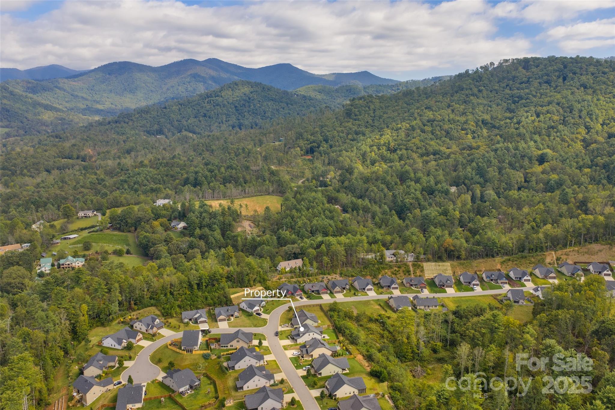 190 Water Leaf Drive Weaverville NC 28787