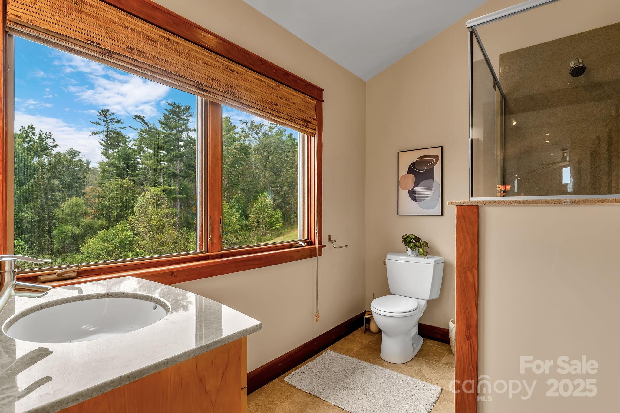 3319 Bull Creek Road Marshall NC 28754