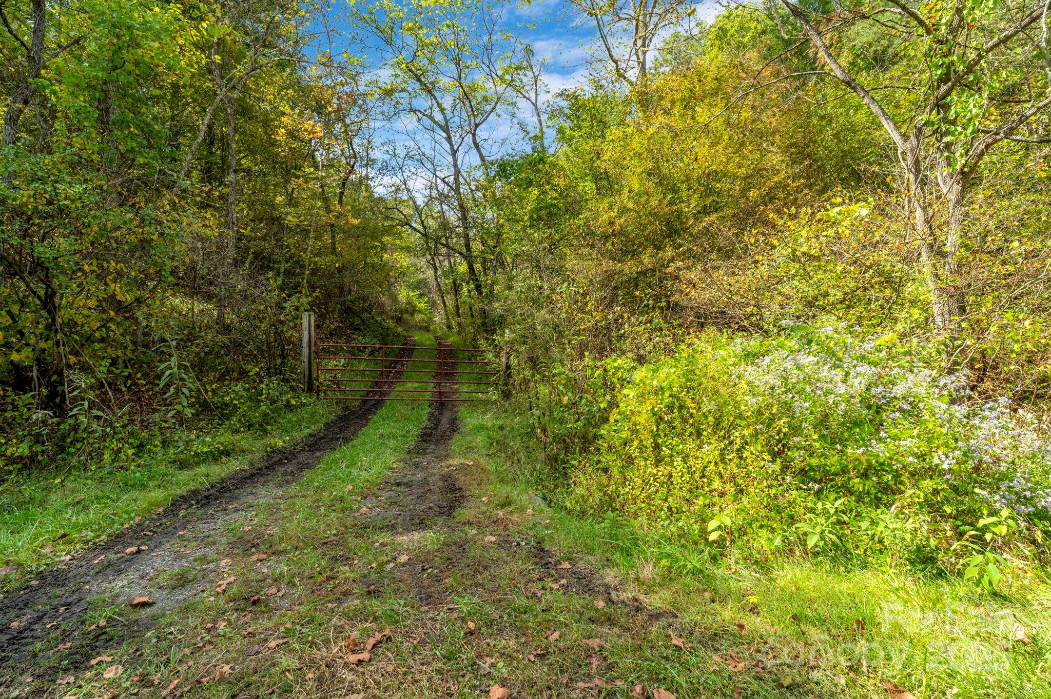 3319 Bull Creek Road Marshall NC 28754