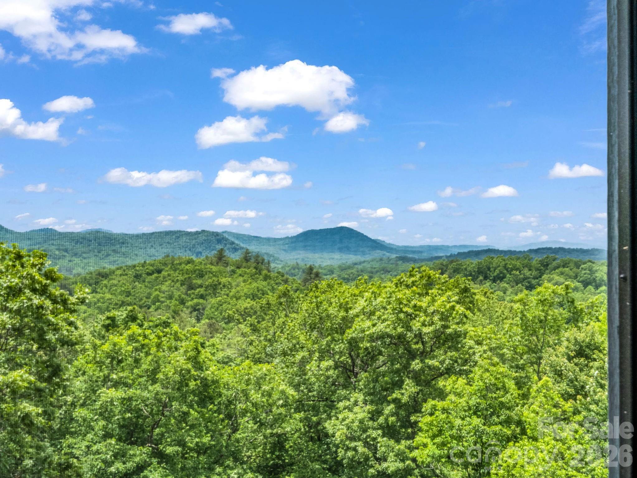 241 Dvdegi Court Brevard NC 28712