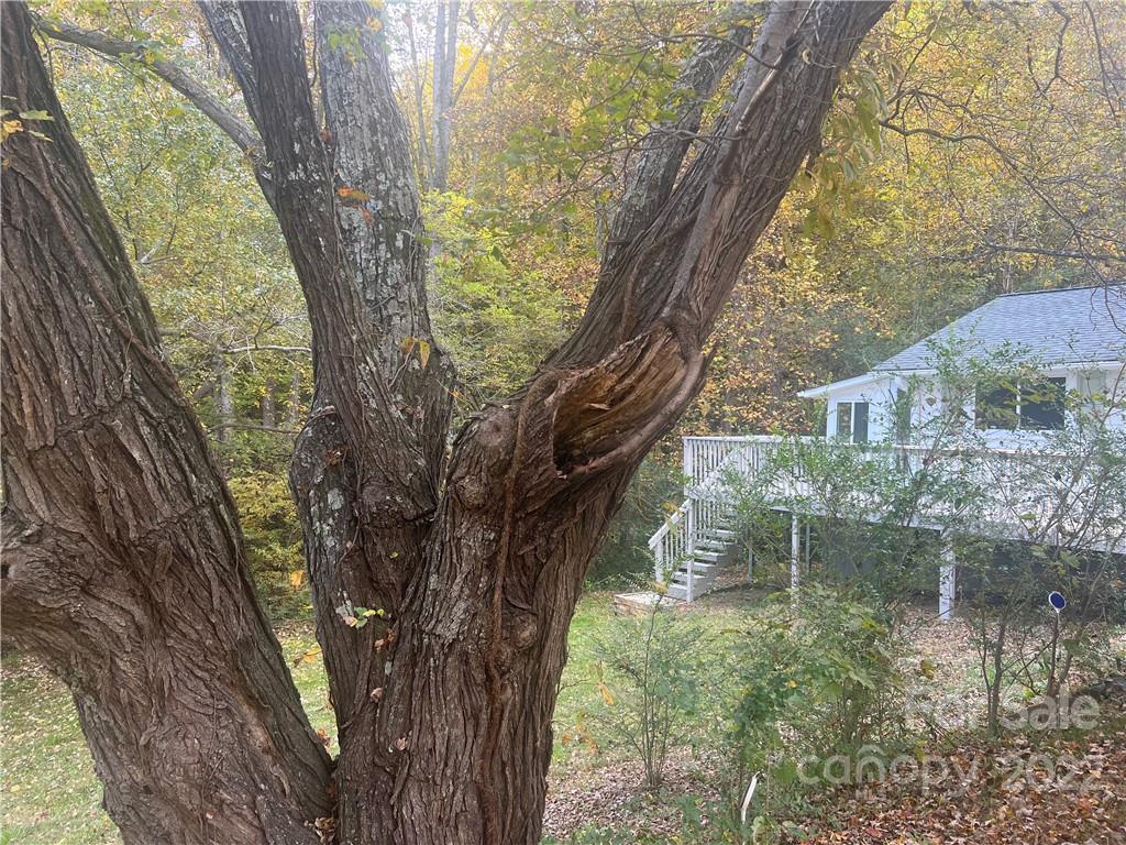 37 Candler School Road Candler NC 28715