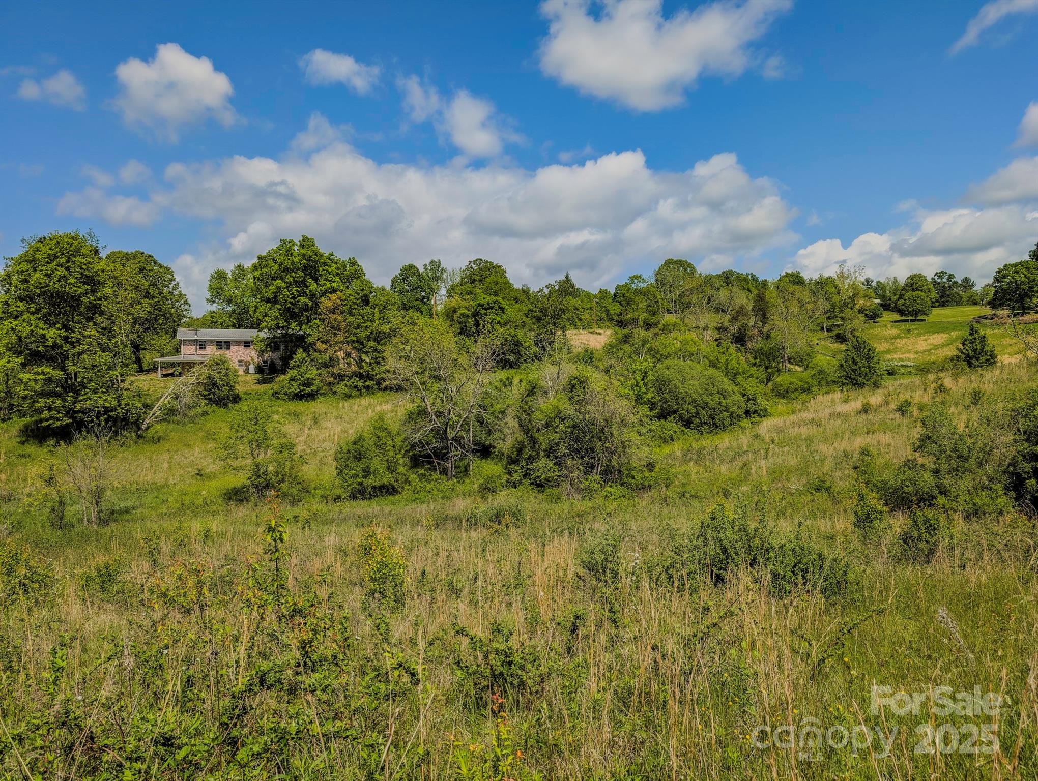 56 Gill Branch Road Weaverville NC 28787