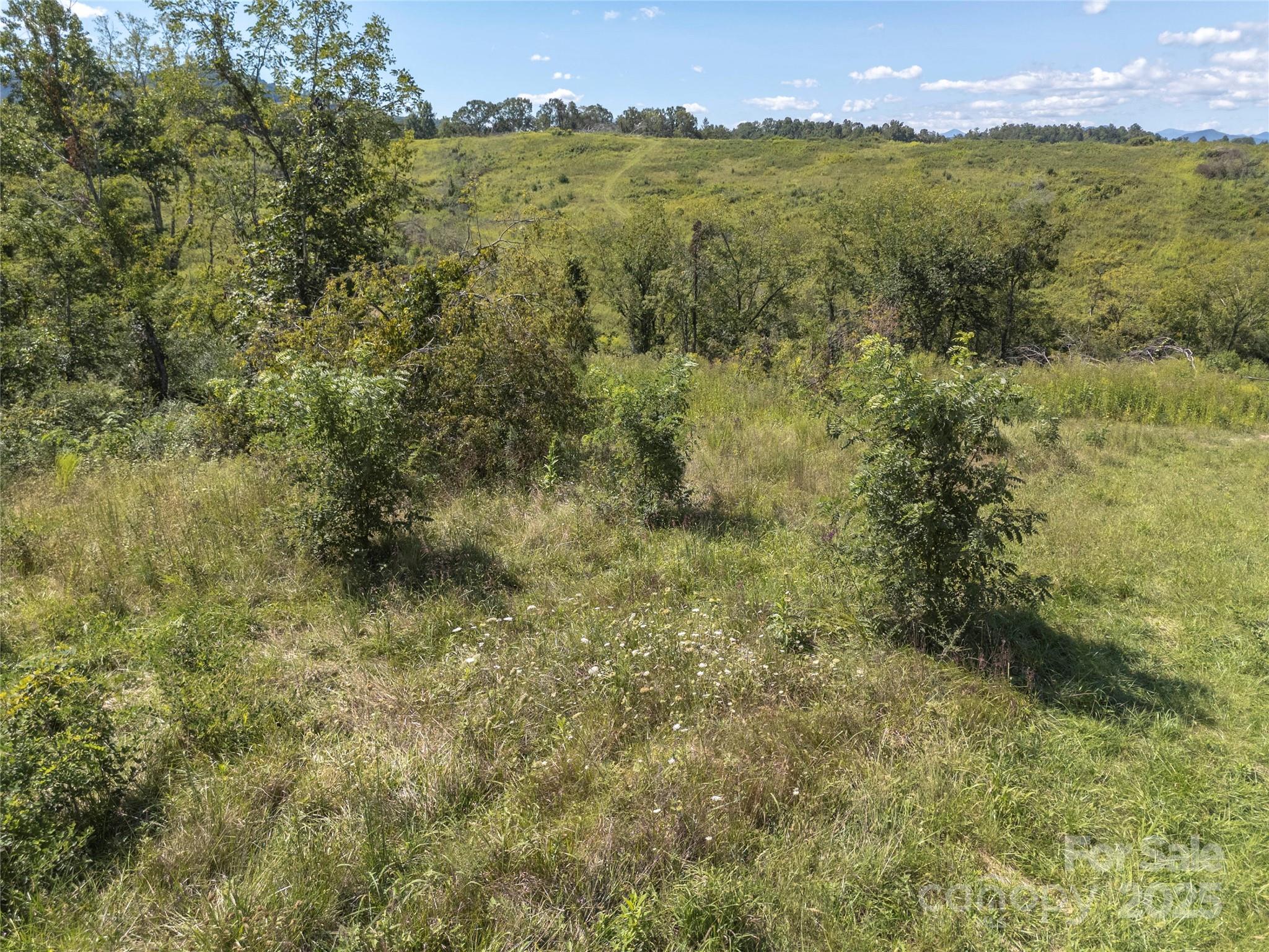 56 Gill Branch Road Weaverville NC 28787