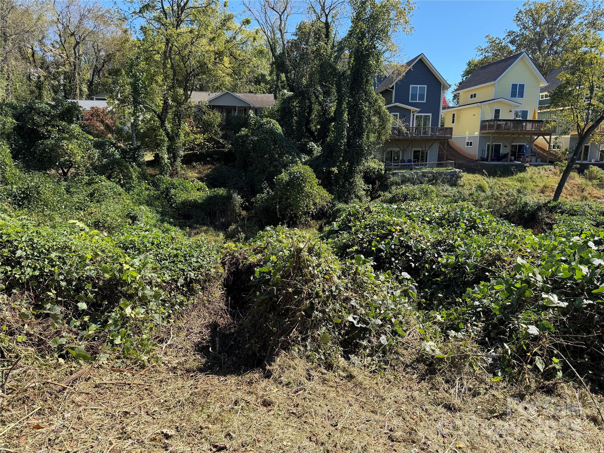 34 Bradley Street Asheville NC 28806