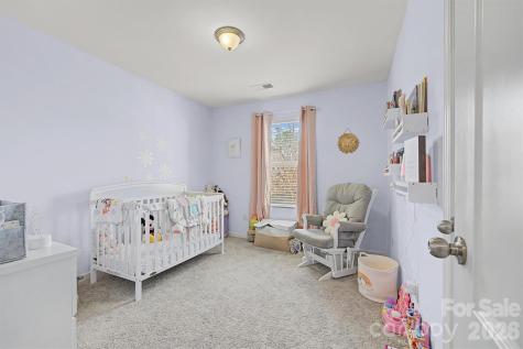 5015 Mockernut Lane Indian Land SC 29707