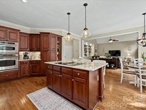 17405 Lynx Den Court Davidson NC 28036