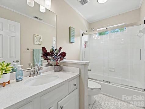 17405 Lynx Den Court Davidson NC 28036